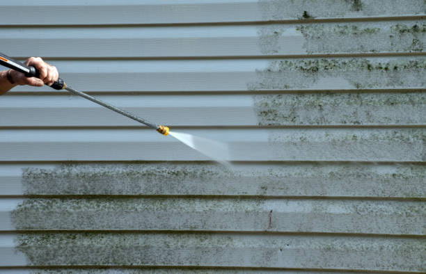 Best Local Pressure Washing Services  in Leland, NC